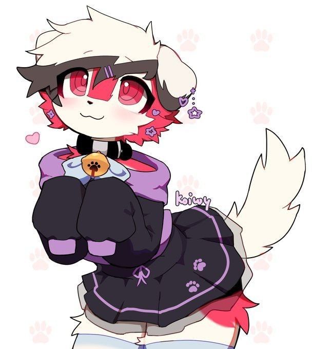 turri pfp 2.0
